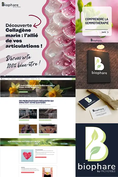 présentation projet biophare vesperiart