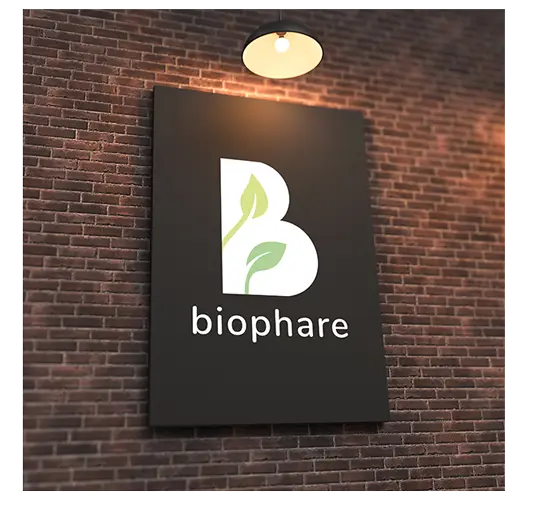 création-de-logo-et-identité-de-marque-pour-la-société-biophare-bellreive copie Accompagnement IA pour les entreprises à Angers — Vesperiart